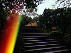 -晓港公园