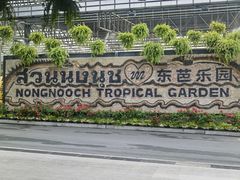 -东芭乐园