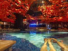 -寻梦盛唐主题水会(龙岗店)