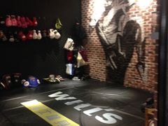 -威尔仕健身·游泳(KING88店)
