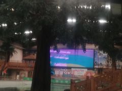 -南宫温泉水世界