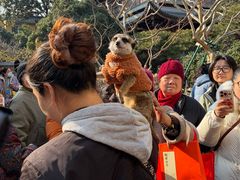 -龙华素斋(龙华路店)