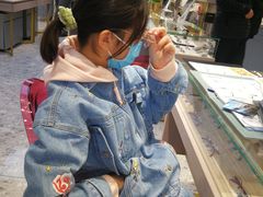 -宝岛眼镜(北京亚运村旗舰店)