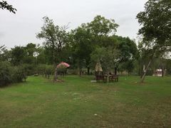 -鹅湖玫瑰文化园