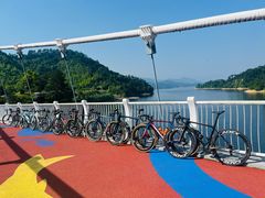 -GIANT捷安特自行车专卖店(金桥台儿庄路店)