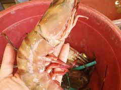-真浪花园海鲜餐馆