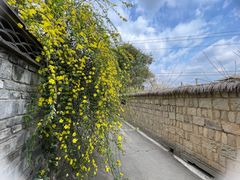 -三圣花乡旅游区