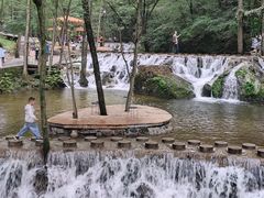 -牛背梁国家森林公园