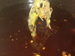 -金海椒罐罐鲢鱼(东方桂苑店)