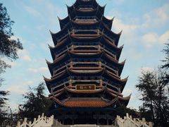 -铁山坪森林公园