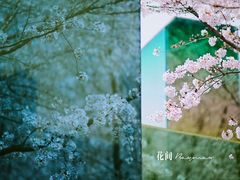 -龙美术馆(西岸馆)
