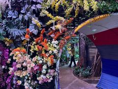 -正佳雨林生态植物园