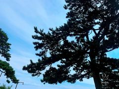 -妙峰山风景名胜区