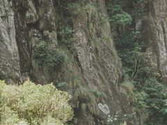 -楠溪江风景名胜区