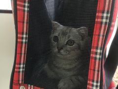 -爱诺耐芙动物医院(万博店)