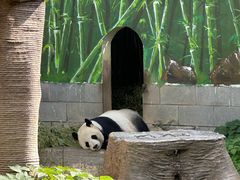 -南昌动物园