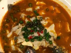-川味堂·四川豆花(八卦岭店)