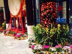 -上海崇明金茂凯悦酒店