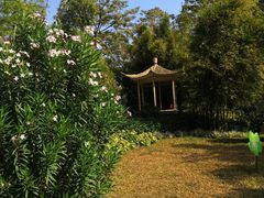 -晓港公园