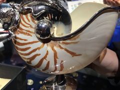 -青岛贝壳博物馆