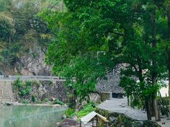 -MOJ coffee(瓯海泽雅水碓坑店)