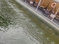-DGE季风钓虾营地·团建·聚会