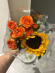 -MIDA蜜哒•科技逆龄美肤连锁
