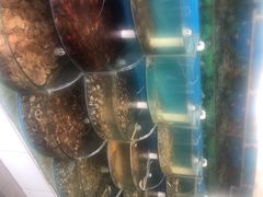 -同道蒸汽海鲜烧烤自助(刘庄夜市店)
