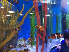 -瑞普利水族馆