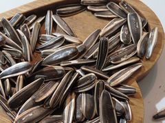 -岳姥姥饺子(泺文路店)