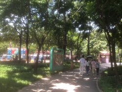 -广州市儿童公园