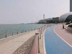 -琴岛之星摩天轮