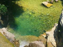 -鼎湖山风景区
