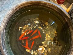 -到家尝北京菜(西坝河店)