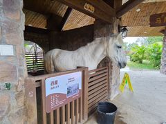 -珠海海泉湾神秘岛亲子乐园