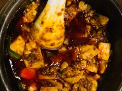 -陈麻婆豆腐总店