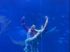 -多彩贵州城极地海洋世界