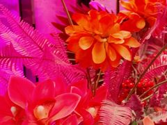 -好乐迪KTV(金钻店)