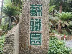 -广东茂名森林公园