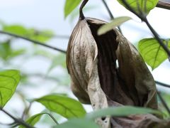 -行人小筑·茶馆(岑村火炉山分店)