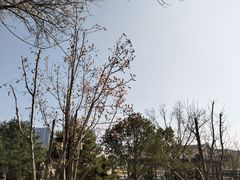 -西海子公园