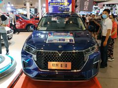 -三亚湾红树林国际会展中心(演出售票)