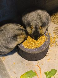 -酷嗒动物文化乐园(cutezoo西溪乐天城店)