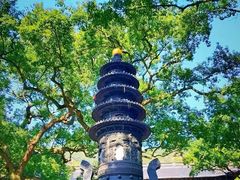-普陀山风景名胜区-法雨禅寺