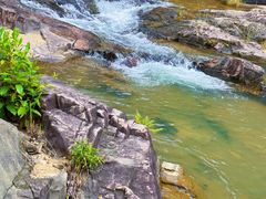 -广州白江湖森林公园