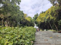 -深圳国际园林花卉博览园