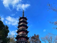 -上海佘山国家森林公园西佘山园