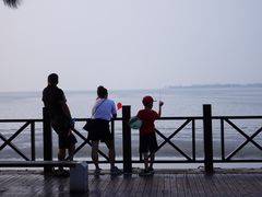 -万绿园
