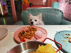 -百好乐宠物友好餐厅(朝外大街店)