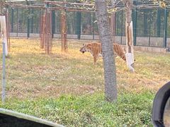 -秦皇岛野生动物园